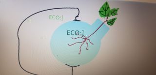 20220324_110435_1024x498